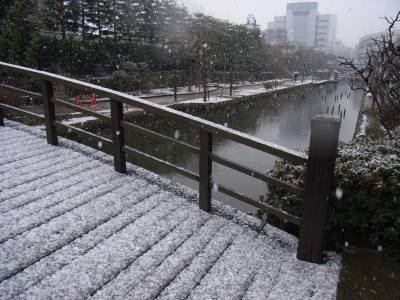 tokyo_snow.jpg